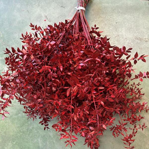 GALCERAN TENYIDA VERMELL