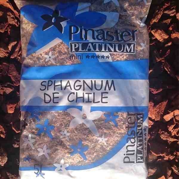 MOLSA ORQUIDIES SPHAGNUM DE CHILE 5L