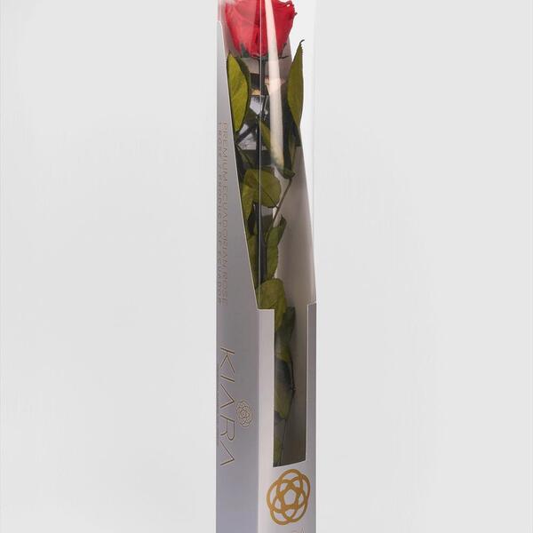 ROSA PRESERVADA STANDART 55CM VERMELLA