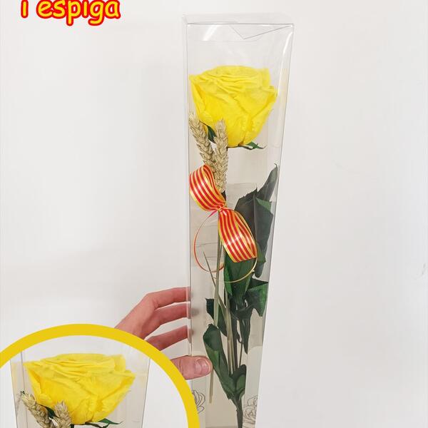 ROSA PRESERVADA PREMIUM 52CM GROC AMB ESPIGA
