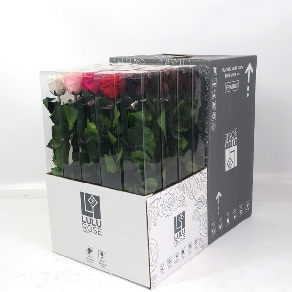 ROSA PRESERVADA PREMIUM 50CM MIX