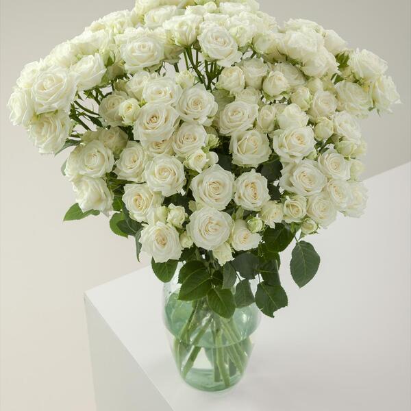 ROSA RAMIFICADA COL SWEET DREAMS BLANCA 50CM