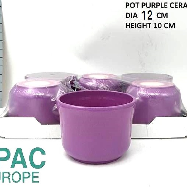 TEST CERAMICA T13,5CM PURPLE