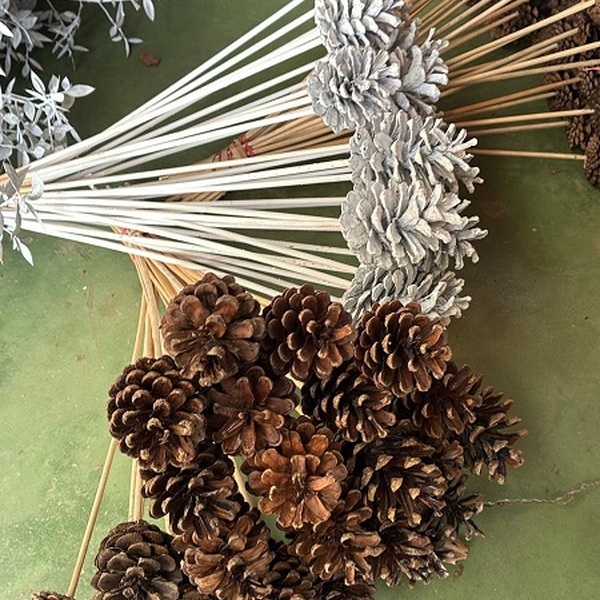 PIC PINYES PAQ 6 UNI. COLOR NATURAL 