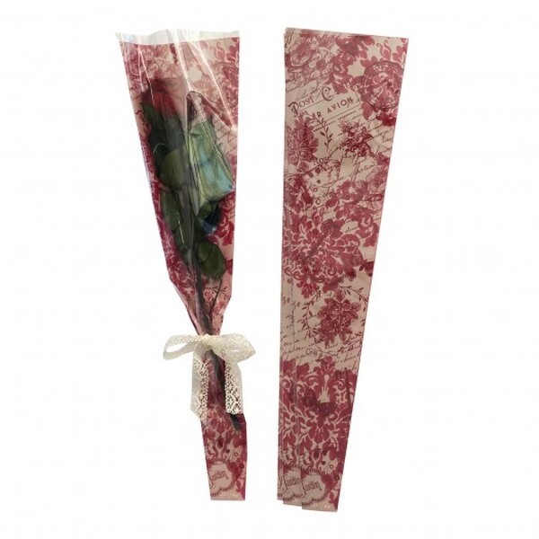 CINTA CATALANA PLASTIFICADA 10mmX200mt