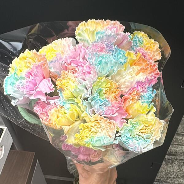 CLAVELL COLOMBIA RAINBOW -1 pq. varis colors!-