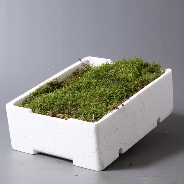 CAIXA MOLSA POREXPAN IMP.