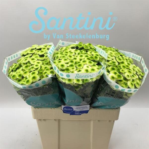 CRIS. SANTINI COUNTRY LIME