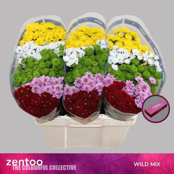 CRIS. SANTINI *MIX WILD*