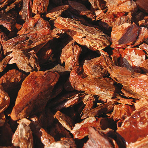 SAC ESCORÇA PI  50L.