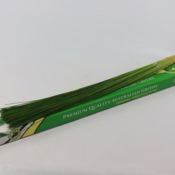 FLEXIGRASS