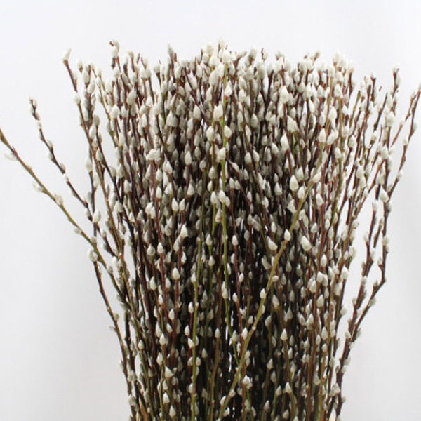 GATELL 100CM