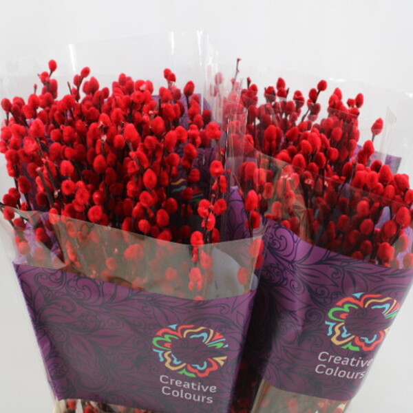 GATELL TENYIT VERMELL 70CM