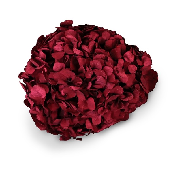 HORTENCIA PRESERVADA NATURAL BLUE/BURGUNDY