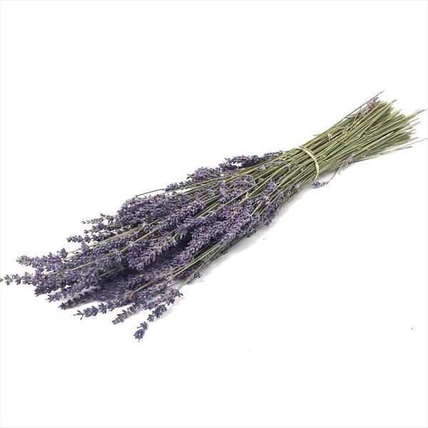 LAVANDA SECA 40CM