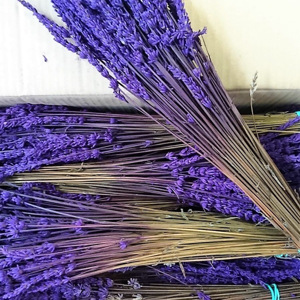 LAVANDA SECA PRESERVADA 55CM