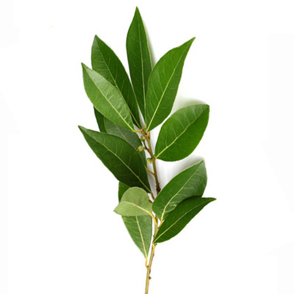 FEIX DE LLEURER GRAN