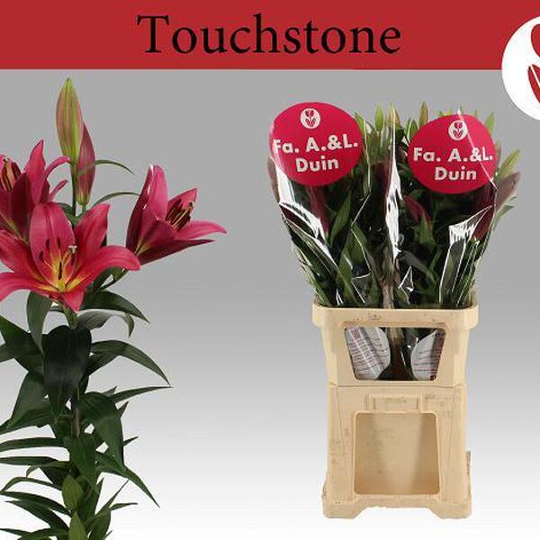 ORIENTAL TOUCHSTONE 105CM