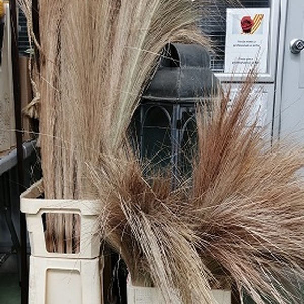 PLUMERO PALMITO 220CM