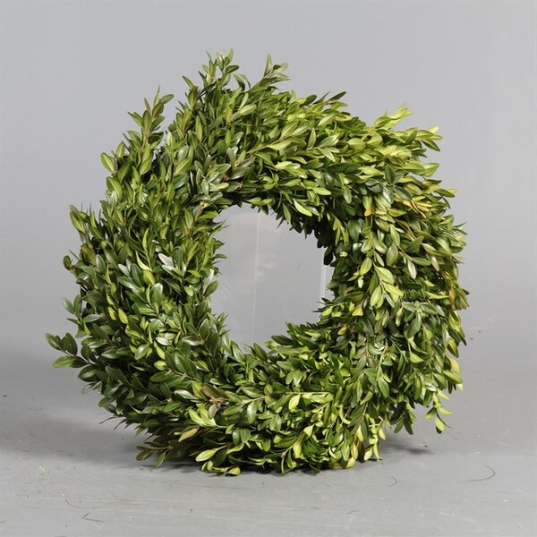 ARO CORONA BOIX 70-85CM