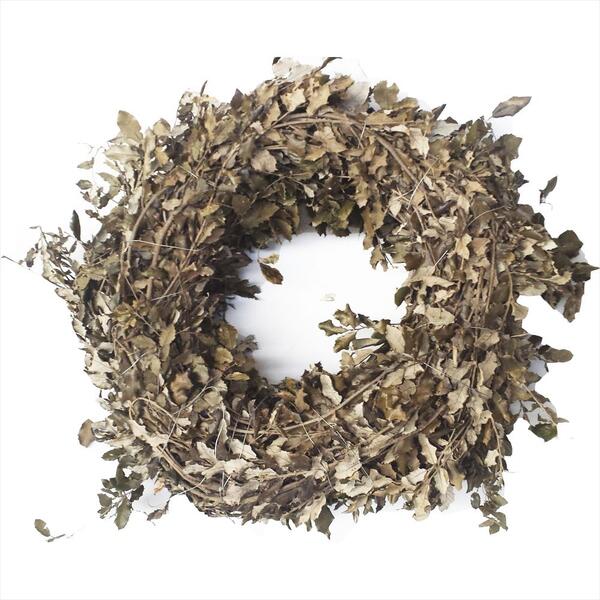 ARO CORONA ALZINA NORMAL 60-68CM