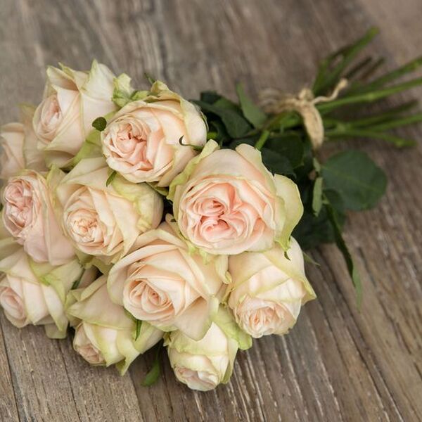 ROSA IMP. 50CM *WEDDING SPIRIT*