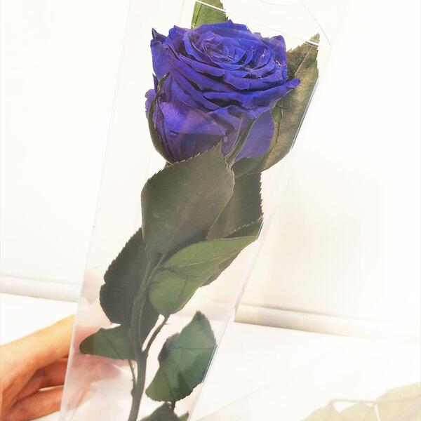 ROSA PRESERVADA MINI 25CM OCEAN BLUE