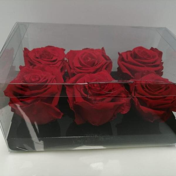 ROSA PRES. CAIXA X6 red