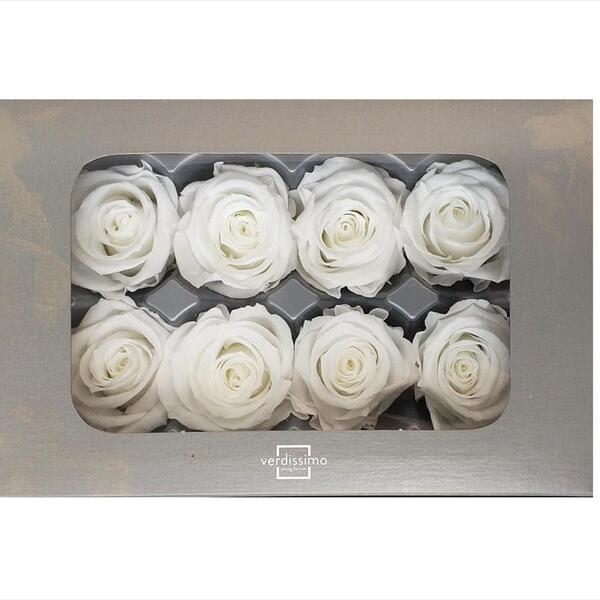 ROSA PRES. STANDART CAIXA X8 BLANC