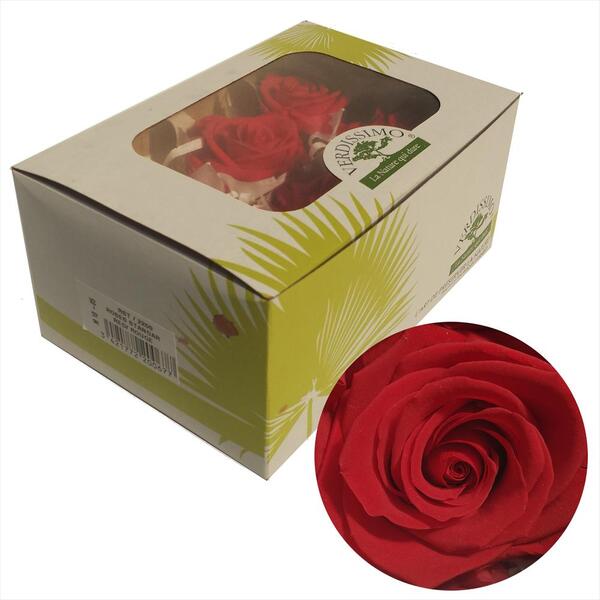 ROSA PRES. STANDART CAIXA X6 RED
