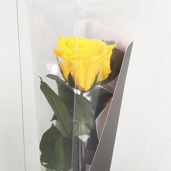 ROSA PRESERVADA PREMIUM 50CM SUNNY YELLOW