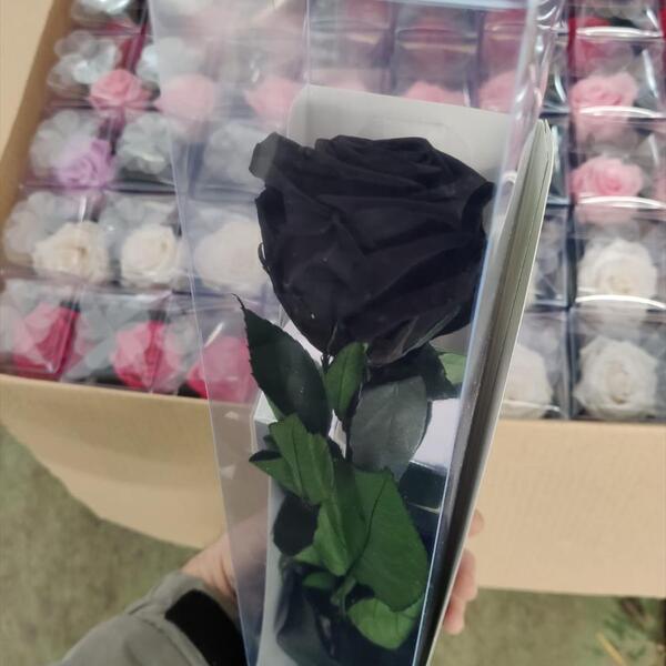 ROSA PRESERVADA PREMIUM 55CM NEGRE