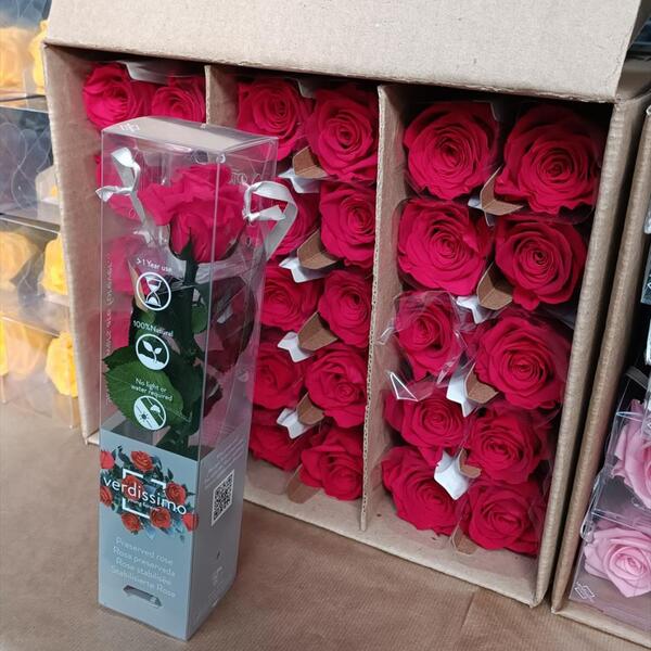 ROSA PRESERVADA VERMELLA 25CM ENVALATGE CELOFA