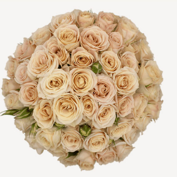 ROSA RAMIFICADA 60CM ALMA *BALI*