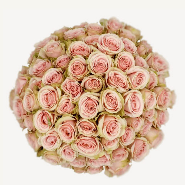 ROSA RAMIFICADA 60CM ALMA *PEACH IRISHKA*