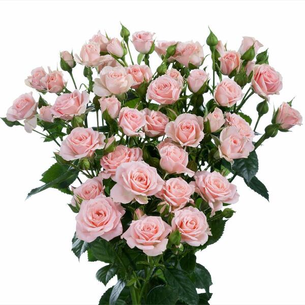 ROSA RAMIFICADA 40CM  *LYDIA*