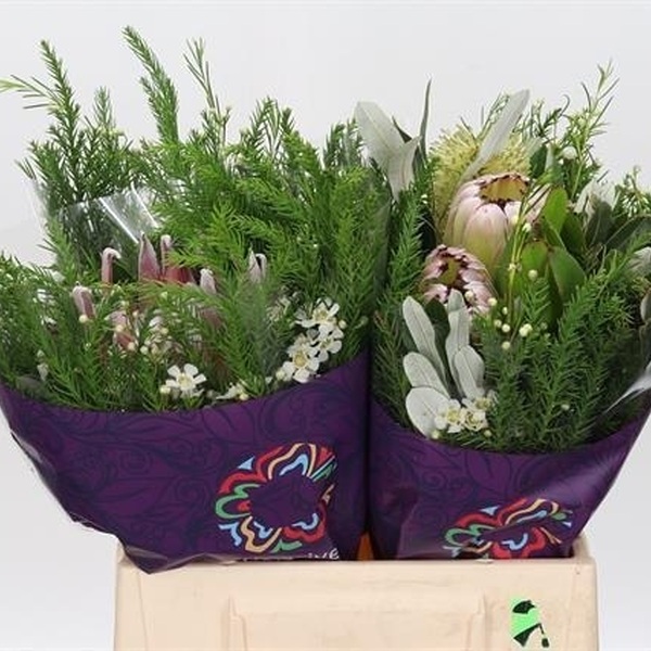 SAFARI BOQUET 2+ PROTEA 40CM