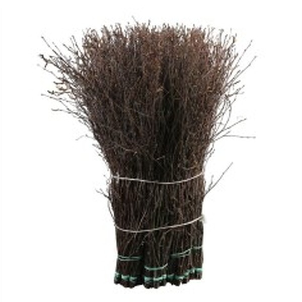 BETULA 120CM NATURAL