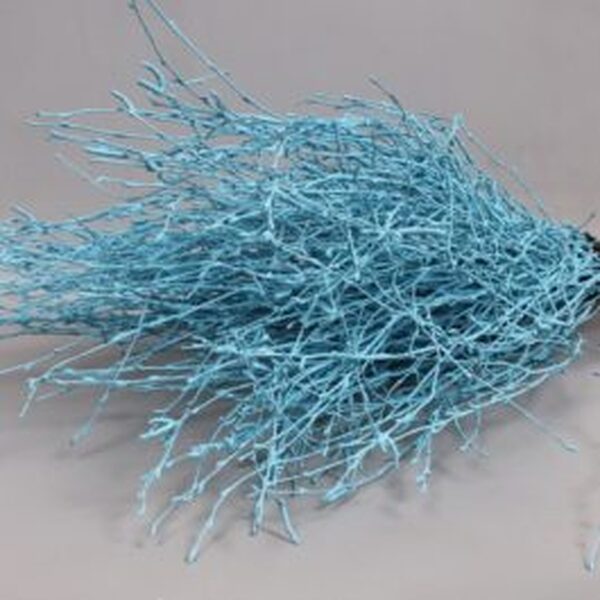 BETULA 60CM BLAU CEL