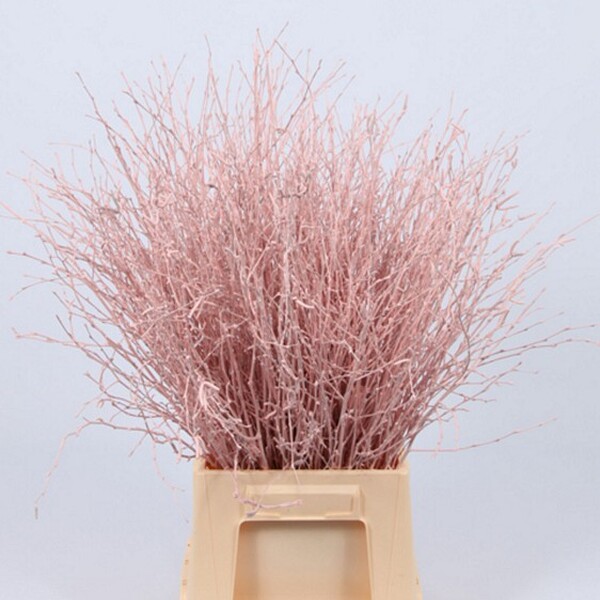BETULA 60CM ROSA