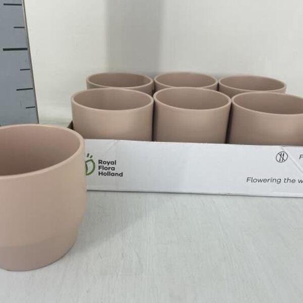 TEST CERAMICA CARAMEL T12CM