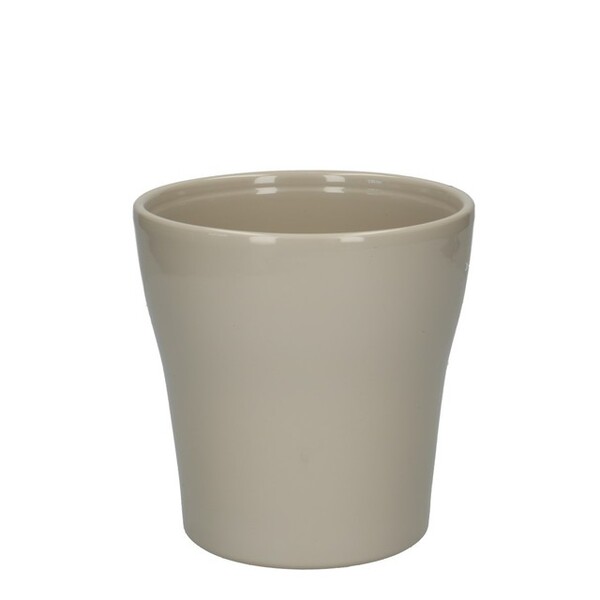 TEST CERAMICA T13CM *PHALANOPSIS*