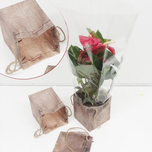 TEST PLASTIC IMITACIÓ SAC T. MAX 14CM