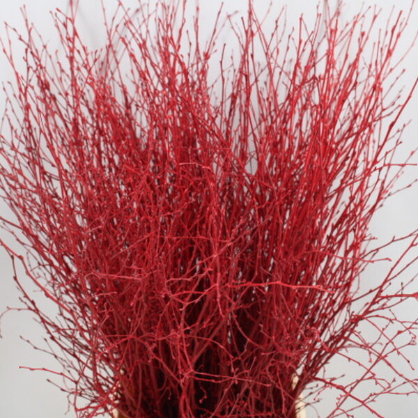 BETULA 120CM VERMELL