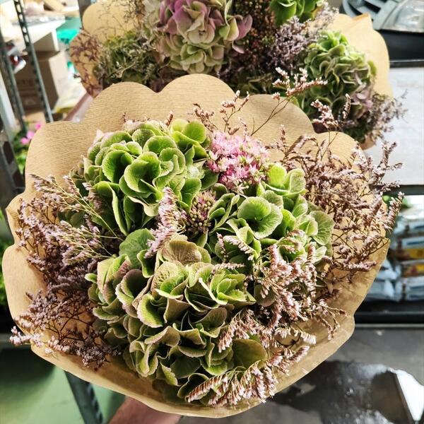 BOQUET HORTENCIES MIX