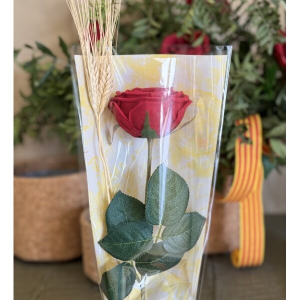 BOSSA SJ B70-21 GENUINE CREMA GRANATE 6X19X70CM