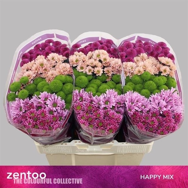 CRIS. SANTINI *MIX HAPPY* [mix flor/boleta]