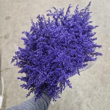 Flor tallada a l'engròs al Maresme i Barcelona: frescor, varietat i qualitat